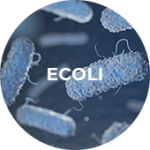 Icon depicting ecoli.