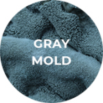 Icon depicting gray mold.