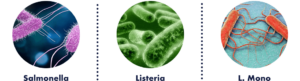 Icons depicting salmonella, listeria, and L. mono.