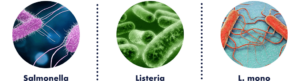 Icons depicting salmonella, listeria, and L. mono.