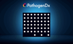 SARS-CoV-2 virus clade variant testing