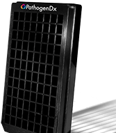 The PathogenDx 96-well plate for food, agricultural and enviornmental testing.