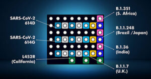 Graphic showing how DetectX-Rv tests for all variants in a single plate.