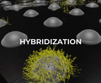 A sample goes through hybridization inside a PathogenDX Microarray.