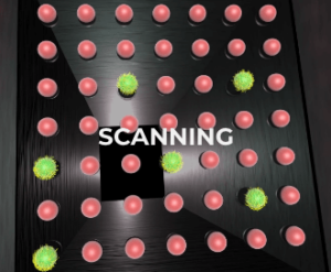 The sample is scanned, illuminating the florescent dye.