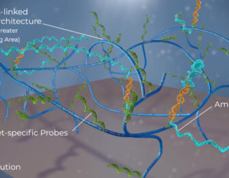 Changing the Molecular Testing Playing Field: PathogenDx’s D3 Array