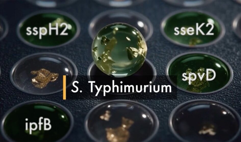 PathogenDx D3 Array wells identifying Salmonella Typhimurium and virulence gene targets